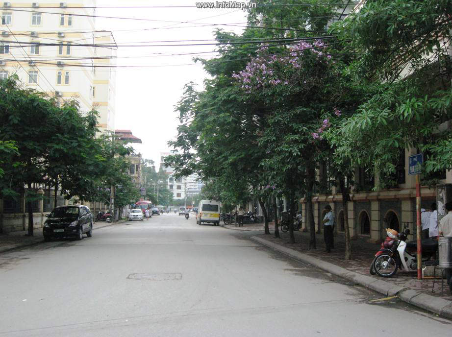 Phố Phạm Tuấn Tài, Quận Cầu Giấy, Hà Nội